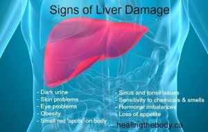 Signs of Liver Damage