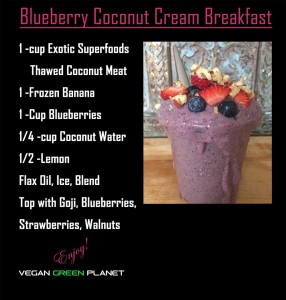 Blueberry Coconut Cream Breakfast