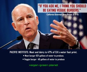 Governor Jerry Brown 